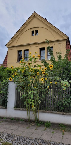 Ansicht Straße